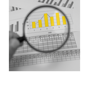 El Plan Económico Financiero